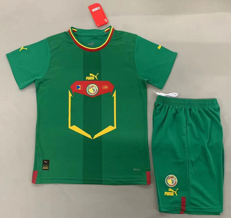 Maillot Senegal R80 Vert