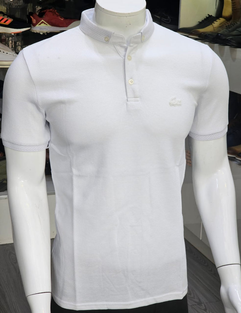 Polo col Button Cotton