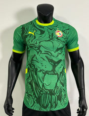 Maillot Extérieur Sénégal Puma - Vert - Homme Tailles S M L
