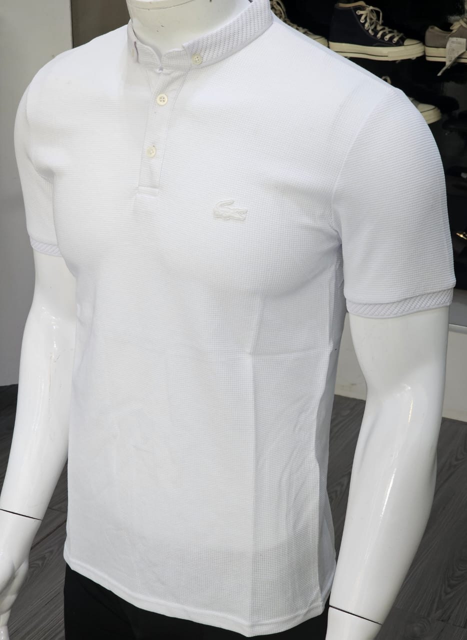 Polo col Button Cotton