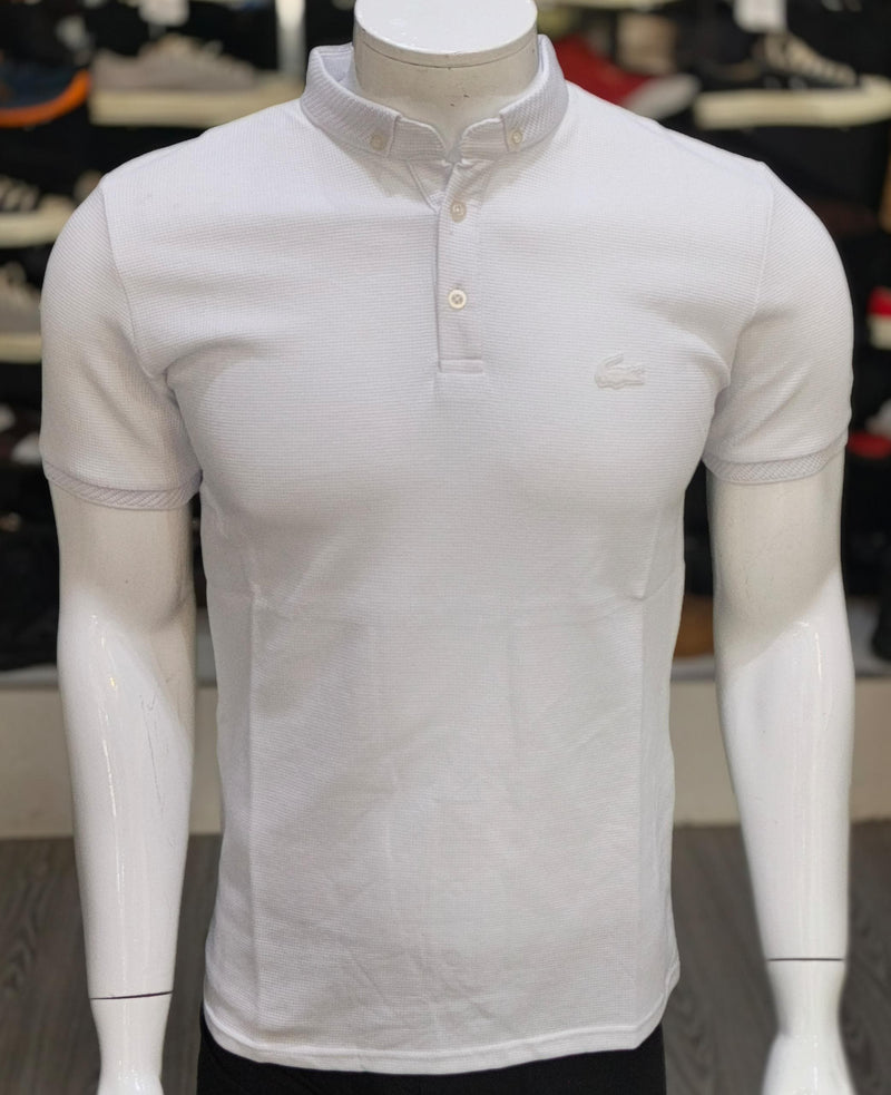 Polo col Button Cotton